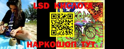 шишки Рыбинск