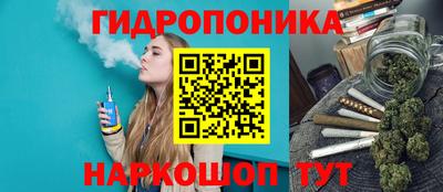 шишки Рыбинск
