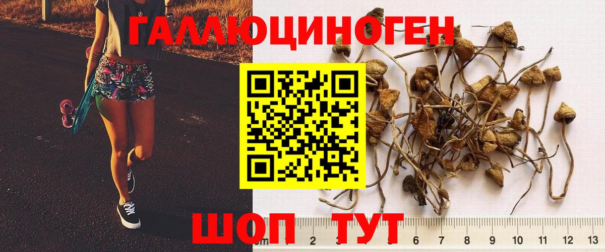 Галлюциногенные грибы GOLDEN TEACHER Амурск